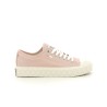 PALLADIUM PALLA  ACE STAR Rose